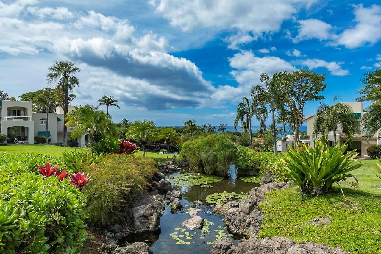 Apartment Palms At Wailea 604 Condo