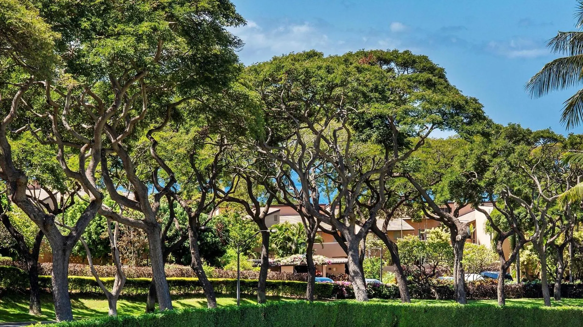 Palms At Wailea 604 Condo